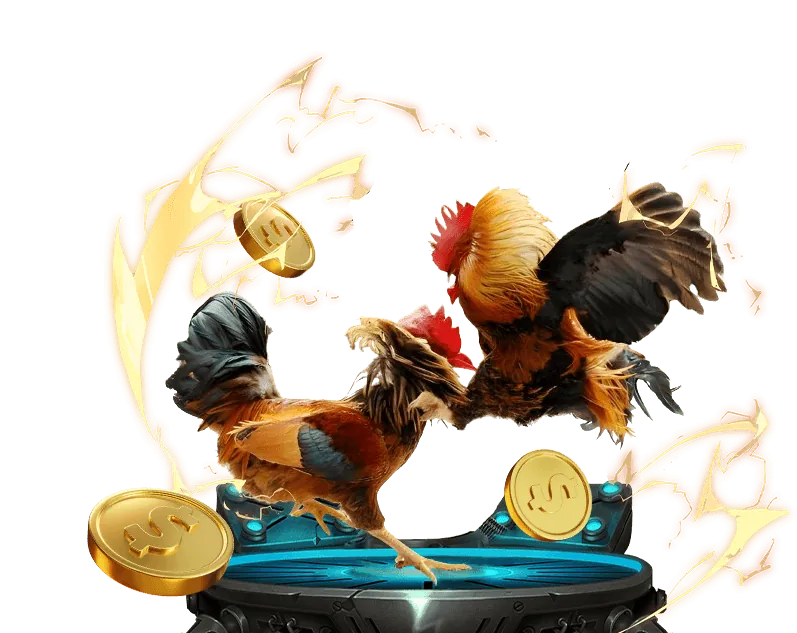 Hướng dẫn đá gà trực tiếp SV388